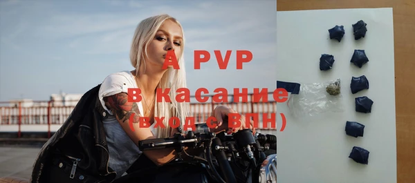 ПСИЛОЦИБИНОВЫЕ ГРИБЫ Баксан