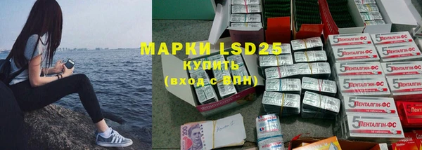 ПСИЛОЦИБИНОВЫЕ ГРИБЫ Баксан